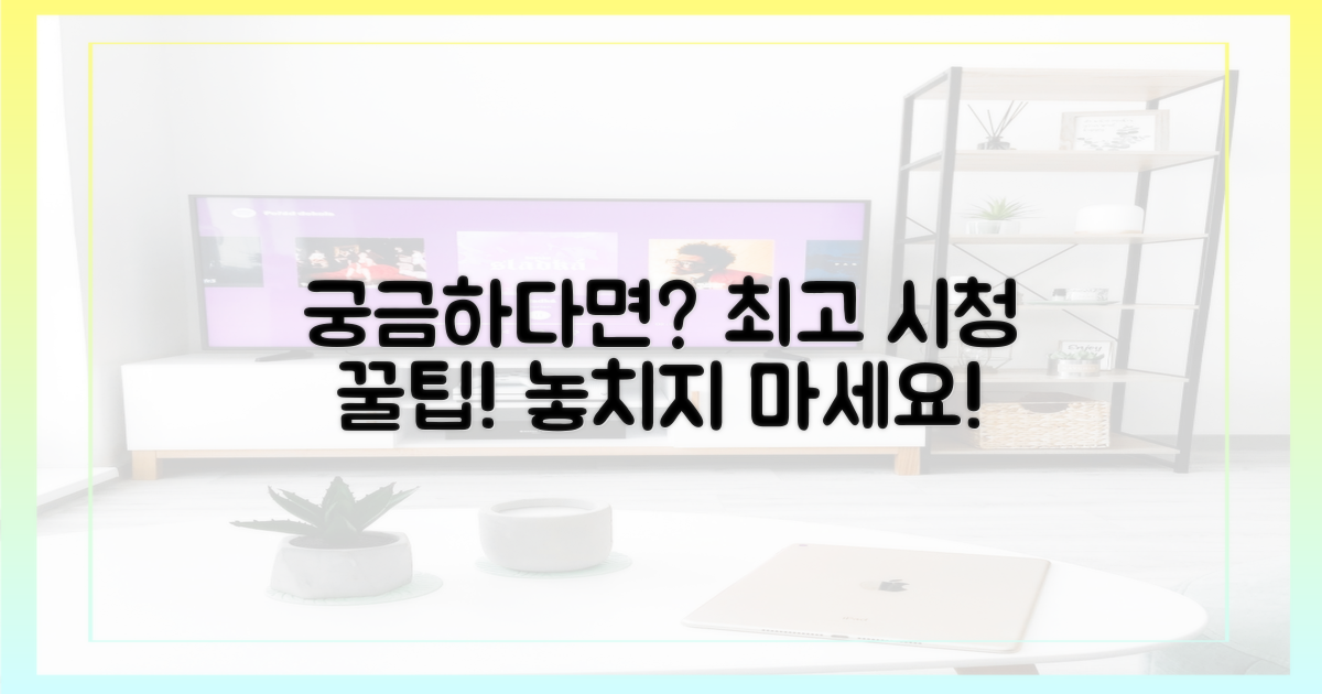 최고의 시청 방법을 알려줘!