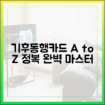 기후동행카드 A to Z: 완벽 마스터 가이드