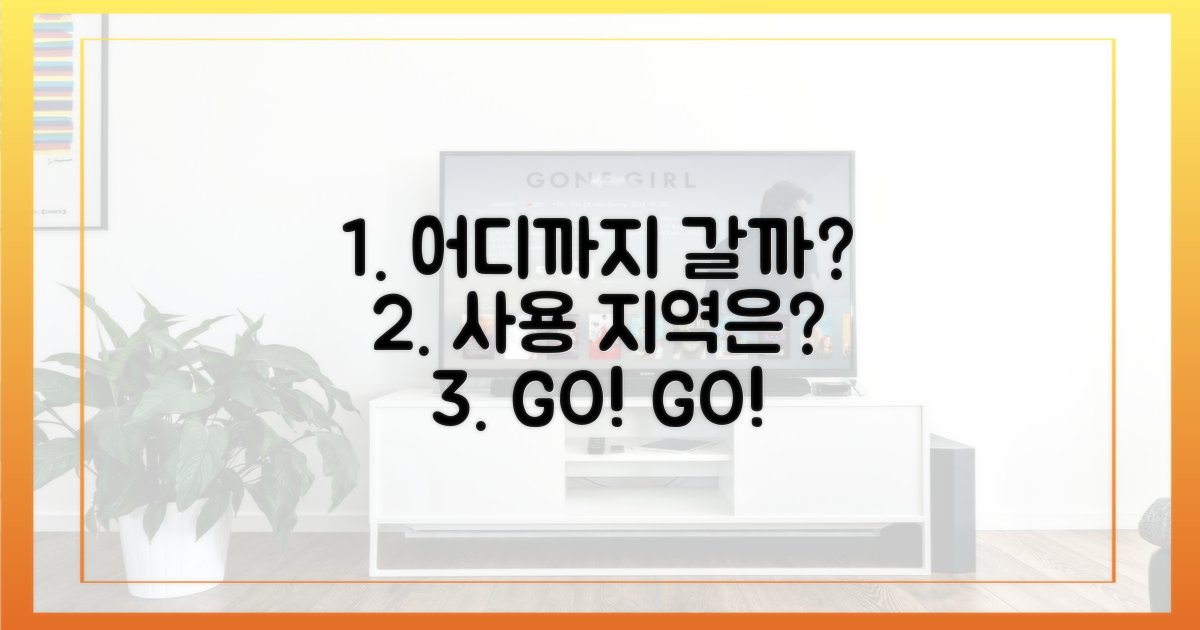 어디까지 갈 수 있을까? 사용 지역은?