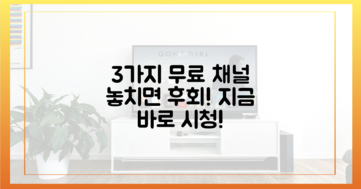 3가지 무료 시청 채널