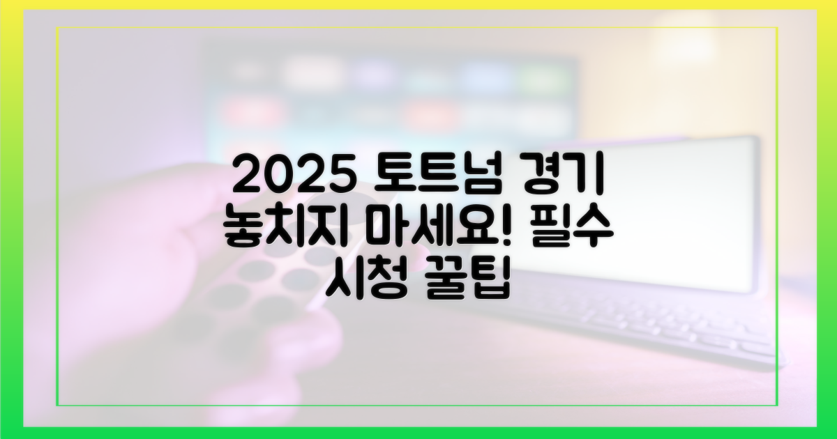 2025년 토트넘 경기 시청 팁