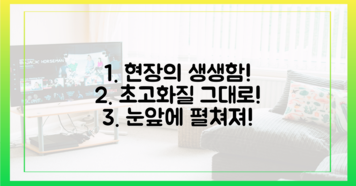 초고화질, 현장의 생생함 그대로