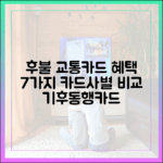 카드사별 후불 기후동행카드 혜택 7가지 비교