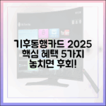 2025 기후동행카드 혜택 5가지 총정리
