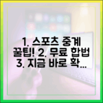 합법 무료 스포츠 중계 완벽 가이드!