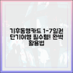 단기 여행자 필수품, 기후동행카드 1~7일권 사용법은?