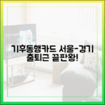 서울-경기 출퇴근러를 위한 기후동행카드 마스터!