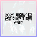 2025년 소상공인 새출발기금, 신용 회복 최적 선택일까요?