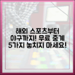 무료 스포츠 중계 5가지: 해외 스포츠부터 야구까지