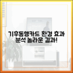기후동행카드: 환경 효과 완벽 분석