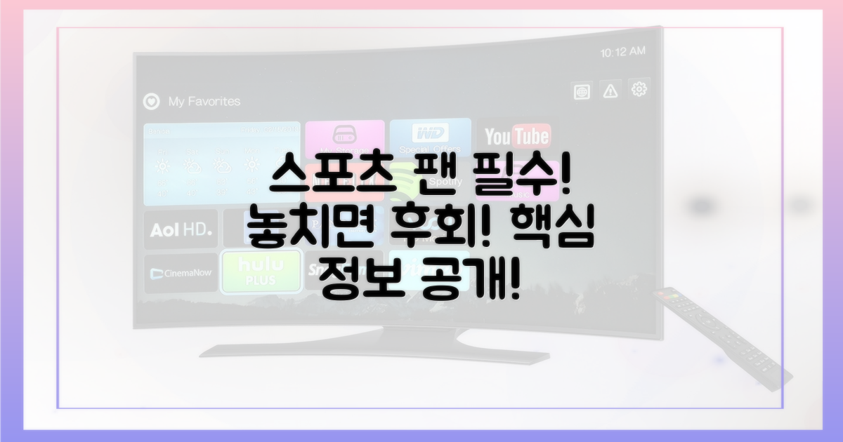 스포츠 팬을 위한 필수 정보
