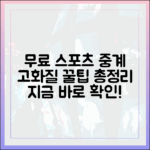 충격! 무료 스포츠 중계 고화질 꿀팁 총정리