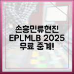손흥민/류현진 EPL/MLB, 2025년 무료 중계!