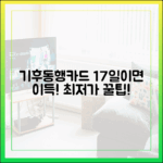 기후동행카드 17일이면 이득!