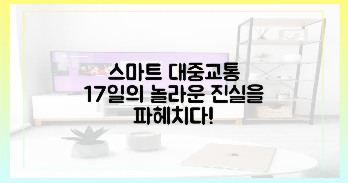 스마트한 대중교통, 17일의 진실
