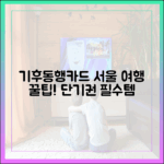 기후동행카드: 서울 여행, 놀라운 단기권 꿀팁!