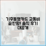 교통비 절감 끝판왕! 기후동행카드 솔직 후기