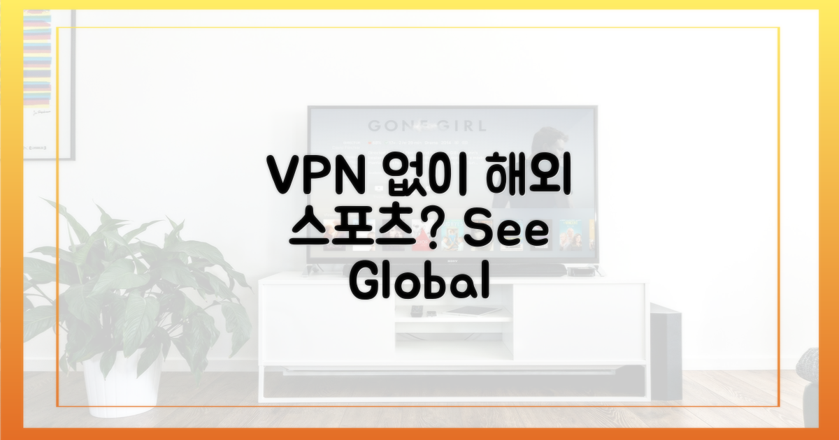 VPN 없이 해외 스포츠, 가능할까?