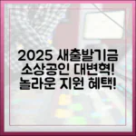 2025년 새출발기금, 소상공인 놀라운 변화!