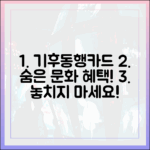 놀라운 기후동행카드, 숨겨진 문화 혜택까지!