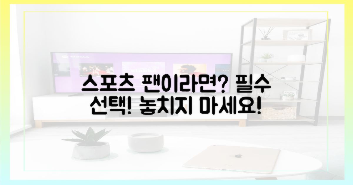 스포츠 팬의 필수 선택