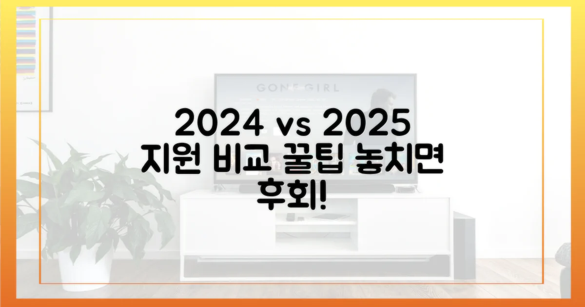 2024년 vs 2025년 지원 비교