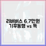 월 6.7만원 한강 리버버스, 기후동행카드 이득일까?