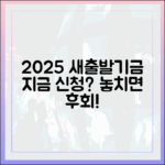 2025 소상공인 새출발기금, 지금 신청해야 할까요?