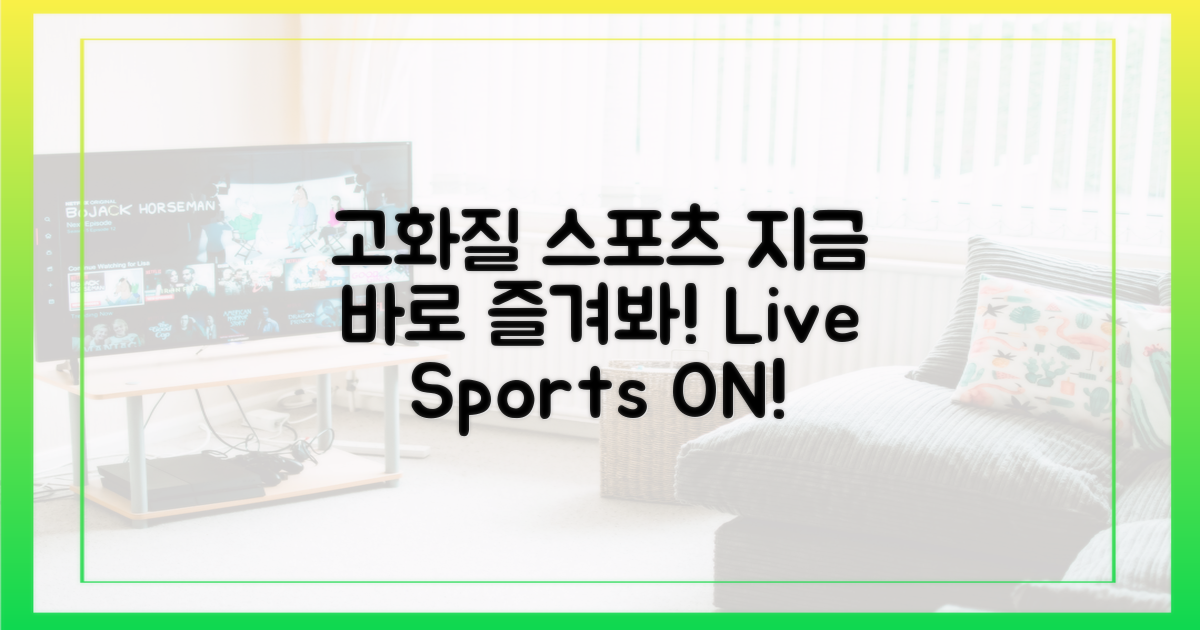 고화질 스포츠, 지금 바로 즐겨봐!