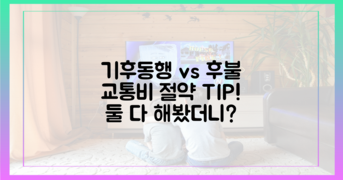 기후동행 vs 후불: 교통비 절약법