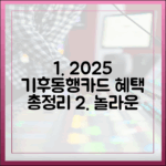 기후동행카드 2025: 혜택 총정리 완벽 가이드