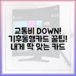 초보도 교통비 절약! 내게 맞는 기후동행카드 권종 찾기