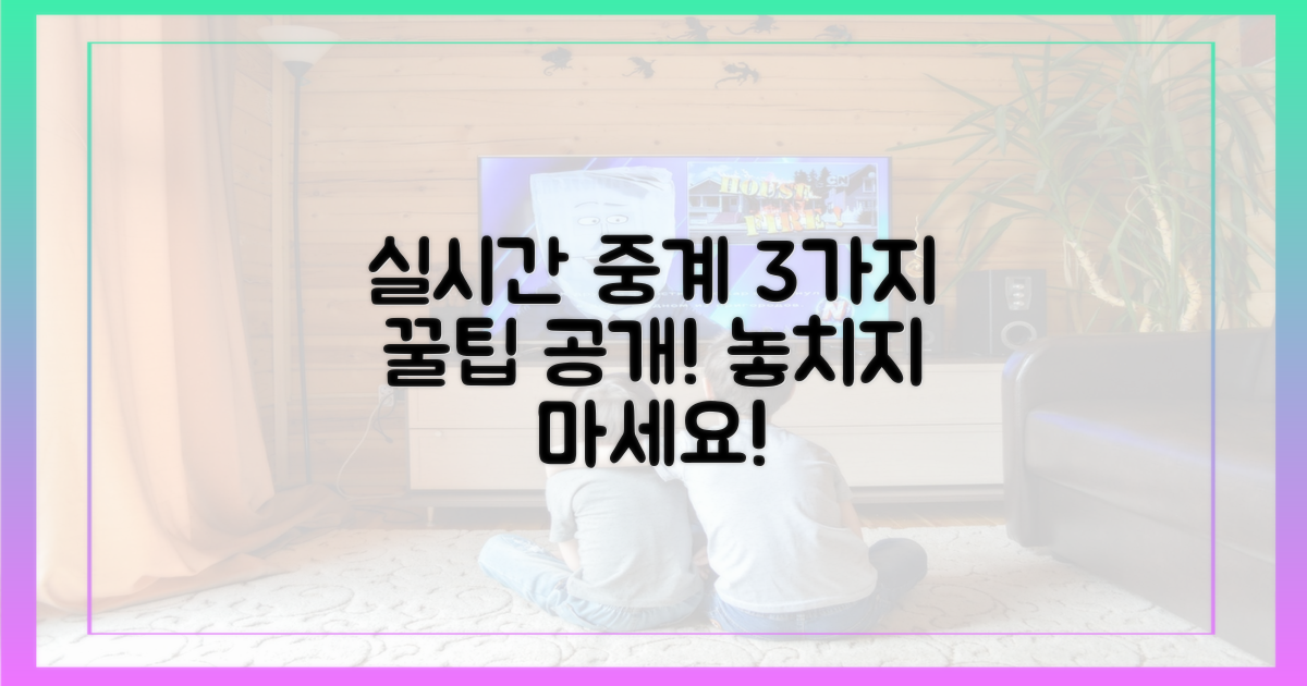 국내 실시간 중계 3가지 방법