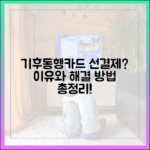 후불 기후동행카드, 놀랍게도 먼저 빠져나가는 이유와 해결책!