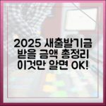 2025 새출발기금: 내가 받을 금액 마스터 가이드