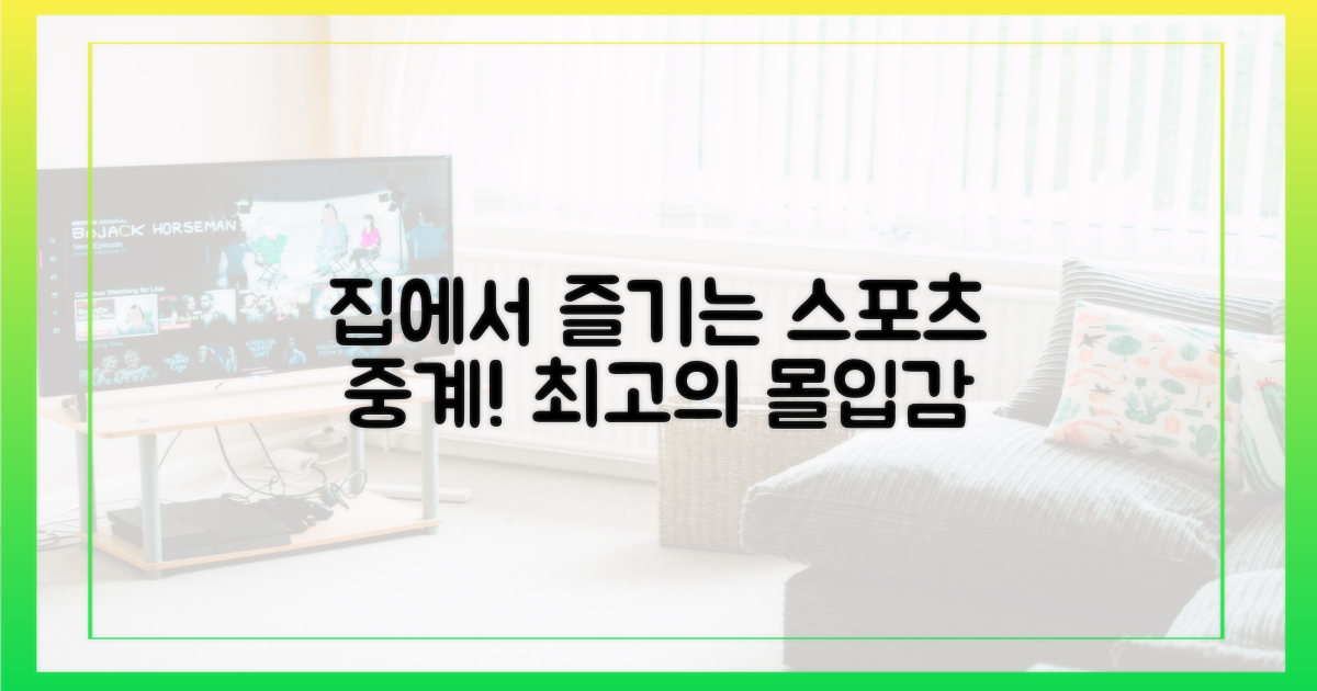 스포츠 중계, 이제 집에서 편하게!