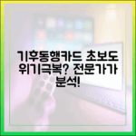 기후동행카드, 초보도 기후 위기 잡을까? 전문가 분석