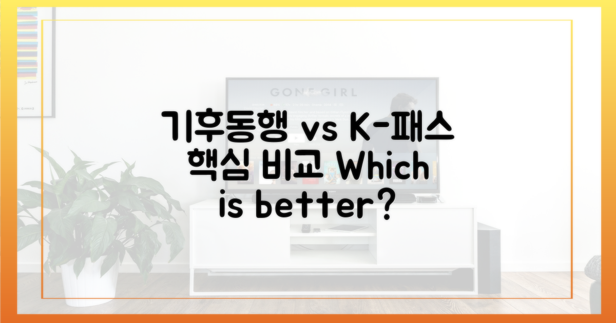 기후동행 vs K-패스, 무엇이 다른가?