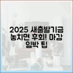 2025 소상공인 새출발기금, 신청 마감 전 꼭 알아야 할까?