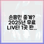 손흥민 무료중계? 2025년 실시간 1곳 완벽 가이드