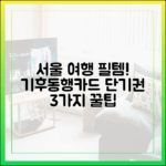 서울 여행 필수템! 기후동행카드 단기권 3가지 꿀팁