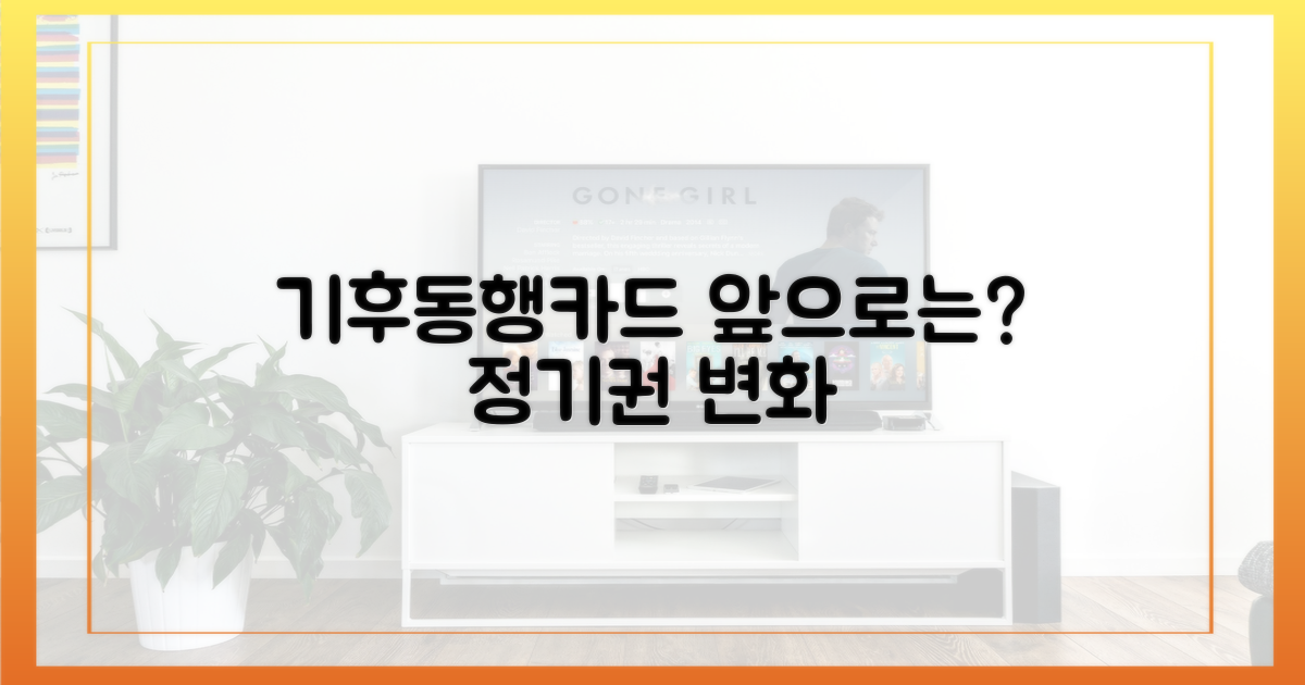 기후동행카드, 앞으로는?
