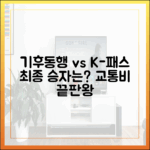 기후동행 vs K-패스: 최종 2가지 비교