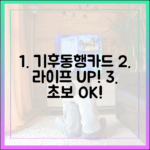 기후동행카드: 초보자도 라이프스타일 UP!