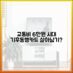 교통비 6만 원 시대, 기후동행카드로 살아남을까?