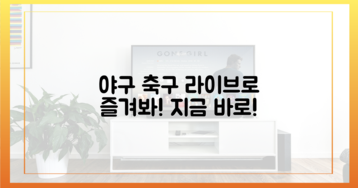 야구 축구 라이브 즐기기