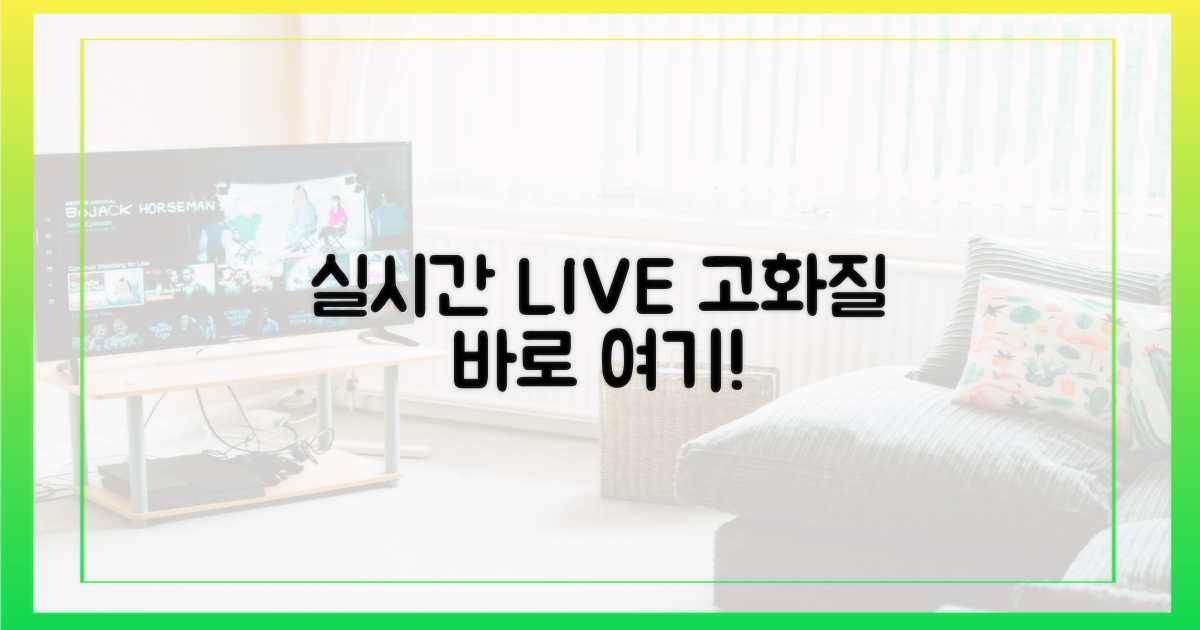 고화질 실시간 중계, 바로 여기!