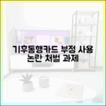 기후동행카드 부정 사용 논란: 처벌 수위와 과제 완벽 가이드