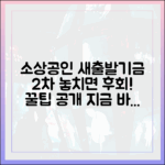놀라운 소상공인 새출발기금 2차 신청 팁!