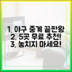 무료 야구 중계 끝판왕! 5곳 추천